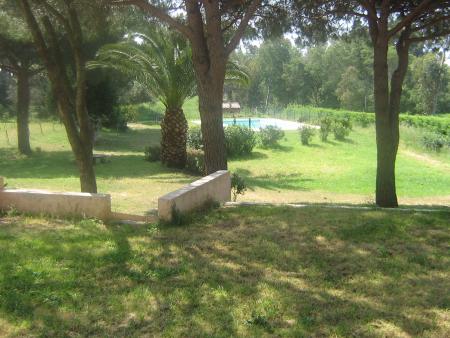 my hOlidays